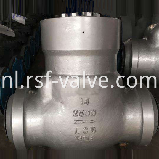 Psb Swing Check Valve